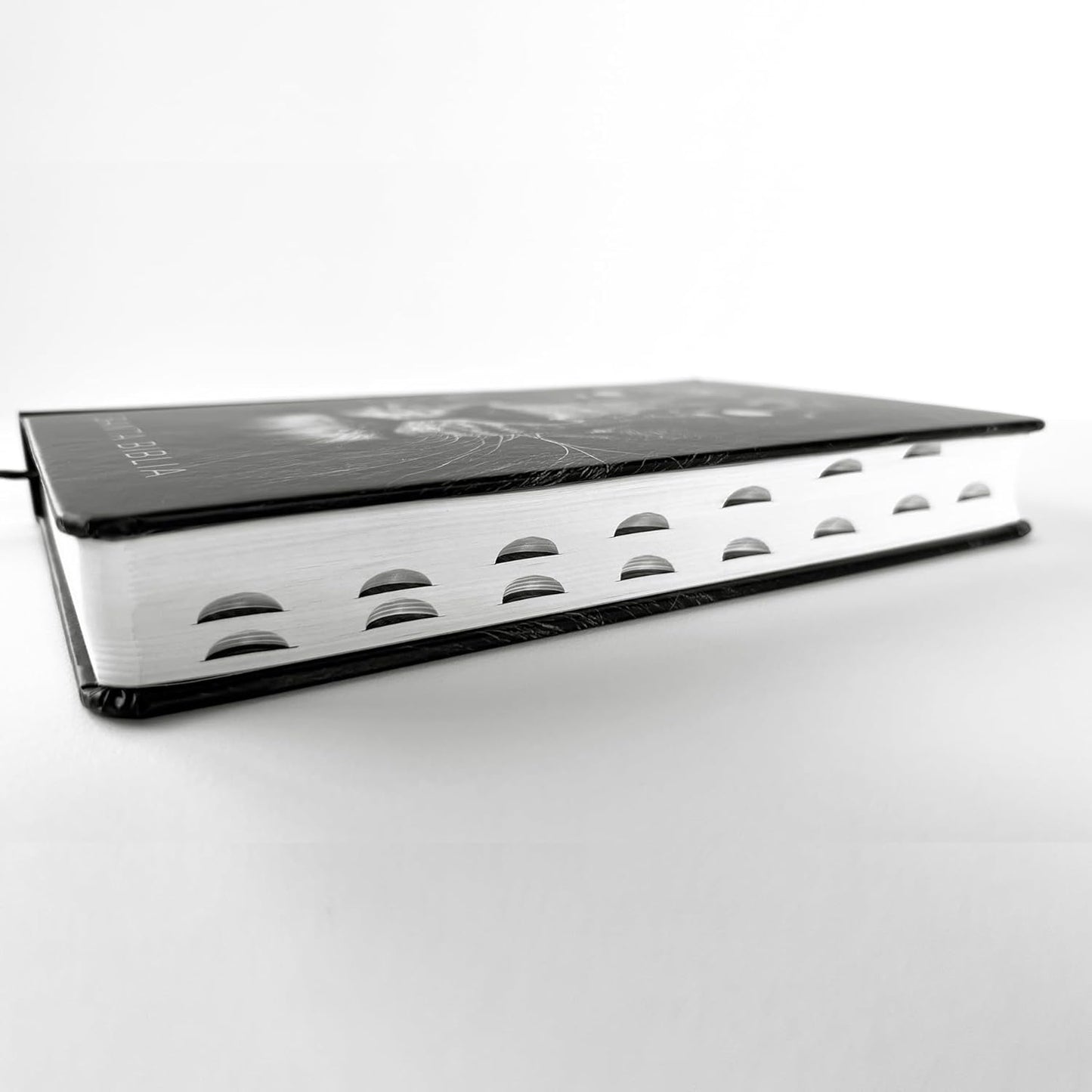 Biblia RVR 1960 letra grande tamaño manual, tapa dura León de Juda con índice / Spanish Bible RVR 1960 Handy Size Large Print Hardcover Lion of Judah with In (Spanish Edition)